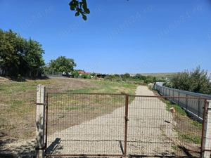 Teren intravilan, Cismea, Rachiti, Botosani  - imagine 4