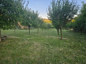 Vand teren intravilan, 950mp în sat Topîrcea jud. Sibiu - imagine 2