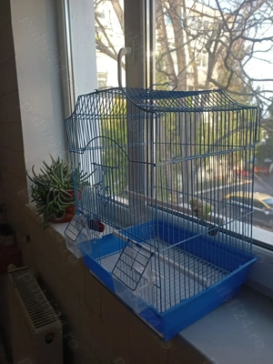 Colivie pentru păsări mici  - imagine 3