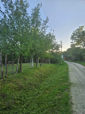 Vand teren intravilan, 950mp în sat Topîrcea jud. Sibiu - imagine 3