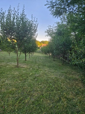 Vand teren intravilan, 950mp în sat Topîrcea jud. Sibiu - imagine 6