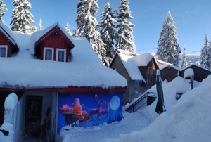 Cabana Alexandra Straja - imagine 2