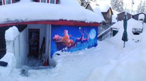 Cabana Alexandra Straja - imagine 3