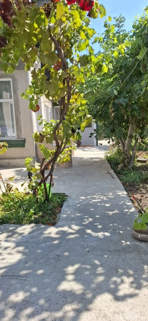 Casa cu gradina si curte 400 mp, cartier Bratianu, Constanta