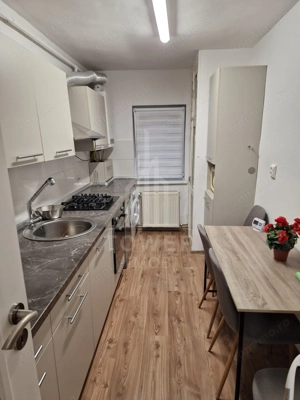 Apartament 3 camere | parter | zona Terezian - imagine 19