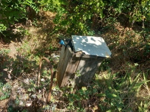 Casa batraneasca în comuna zorleni,   județul Vaslui teren 1500m intravilan  - imagine 3