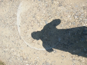 Casa batraneasca în comuna zorleni,   județul Vaslui teren 1500m intravilan  - imagine 4