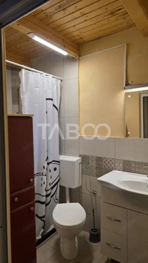 Casa de vanzare in Sebes zona semicentrala - imagine 15