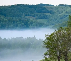 Teren extravilan la munte, in Nucsoara Arges - imagine 4