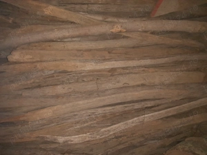 Araci salcâm,din spartura - imagine 3