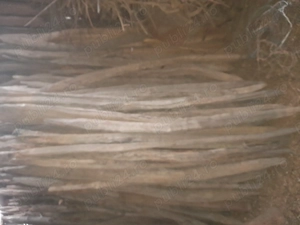 Araci salcâm,din spartura - imagine 2