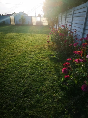 Teren Corbeanca - imagine 2