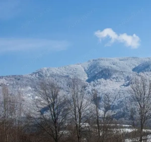 Teren extravilan la munte, in Nucsoara Arges - imagine 7