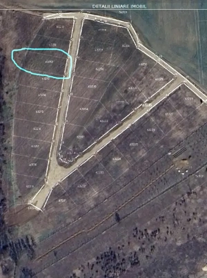 Teren intravilan de vânzare 719 mp Paleu - imagine 2