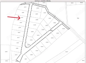 Teren intravilan de vânzare 719 mp Paleu - imagine 3