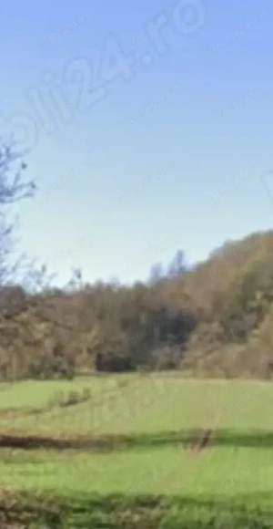 TEREN de vanzare.:Micesti-Purcareni -Arges !! - imagine 3