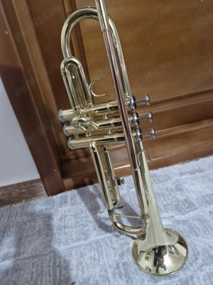 Vand trompeta Parrot - imagine 4