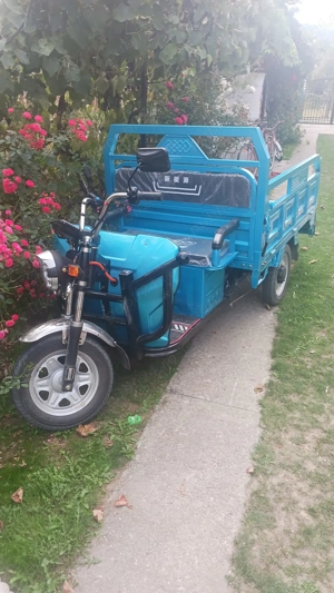 Tricicleta electrica cargo adusa din China,noua