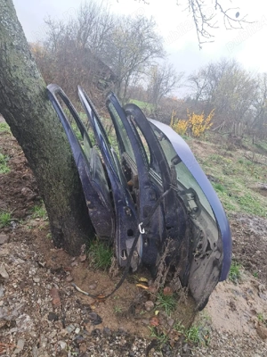 vand usile si haionul megane scenic an 2000