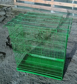 colivie pentru papagali 