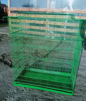 colivie pentru papagali  - imagine 2