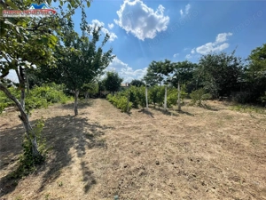 Casa  de vanzare zona Alexandru cel Bun-Tulcea - imagine 3