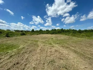 Teren 1629 mp - Baile Felix, Bihor - imagine 6