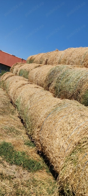 Vând fân de calitate 150 120