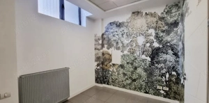 Spatiu comercial 72 mp Crangasi, langa Metrou, comision 0% - imagine 4