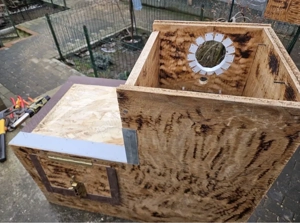 execut cuiburi de papagali