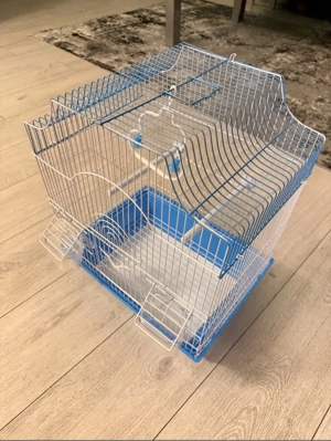 colivii papagali diferite dimensiuni - imagine 4