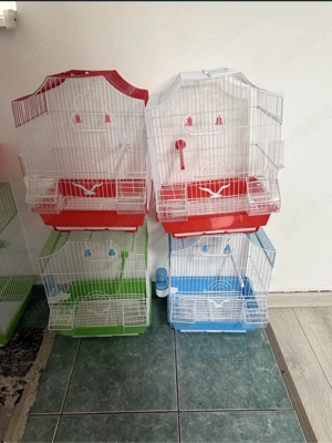 colivii papagali diferite dimensiuni - imagine 3