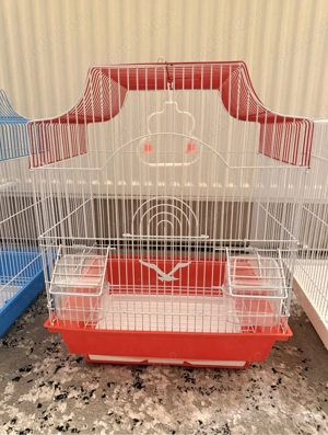 colivii papagali diferite dimensiuni - imagine 5