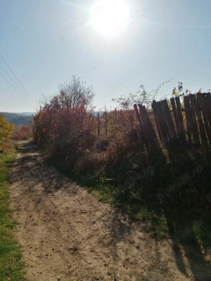 Casă de vânzare în Vladimir, Gorj - imagine 9