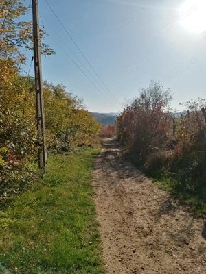 Casă de vânzare în Vladimir, Gorj - imagine 6