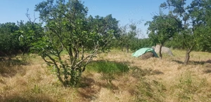 Vând  Casă sau  schimb cu variante .      - imagine 8