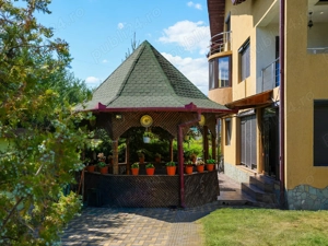 Casa Ruxi Calimanesti