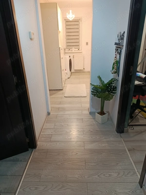 Apartament 3 camere Dambu  Pietros - imagine 6