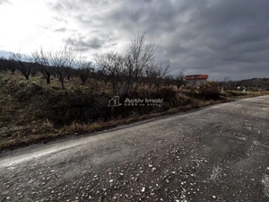 Teren Intravilan Str Livezilor - imagine 13