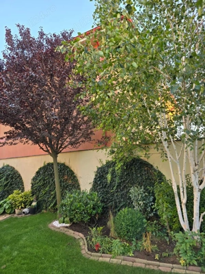 Vila de vanzare in Constanta - imagine 2