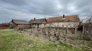 Vând Casă în Sălard 2500mp - imagine 5