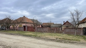 Vând Casă în Sălard 2500mp - imagine 2