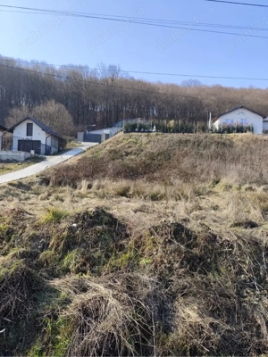 teren bun bascov - imagine 3