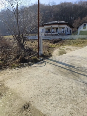 teren bun bascov - imagine 4