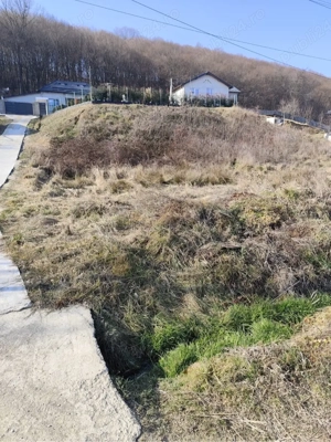 teren bun bascov - imagine 5