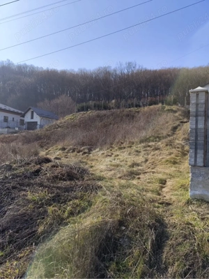 teren bun bascov - imagine 2