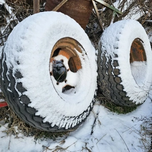 Piese pentru TiH - imagine 5