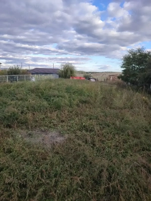 Teren intravilan de vanzare