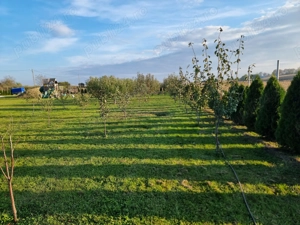 Casă la gata de vânzare în municipiul Dorohoi   str. Dealu Mare - imagine 2