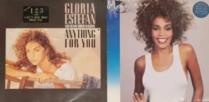 Discuri vinil cu muzica internationala & romaneasca